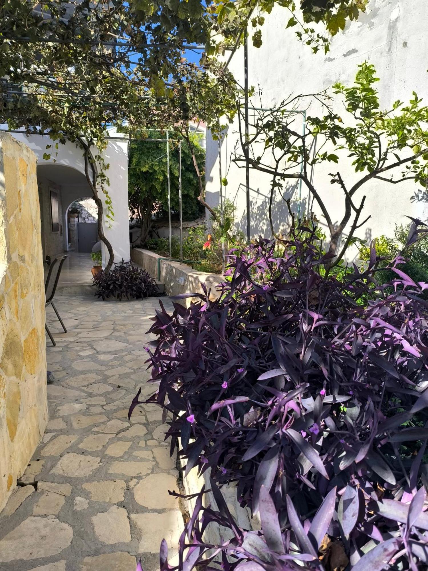 Poseidon Apartments Gaios Exterior photo